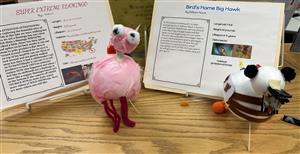 3rd Grade Project 2025 9.jpg